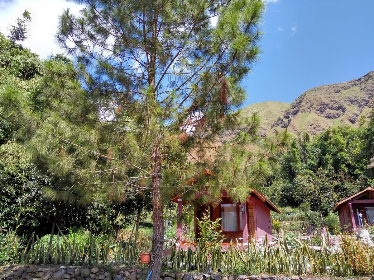 Sembalun Kita Cottage Sembalunlawang Ngoại thất bức ảnh
